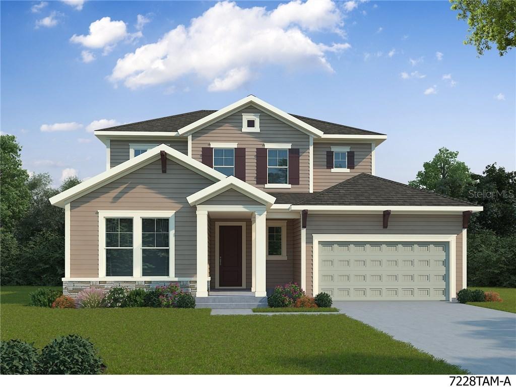 2575 Claymore St., Odessa, FL 33556
