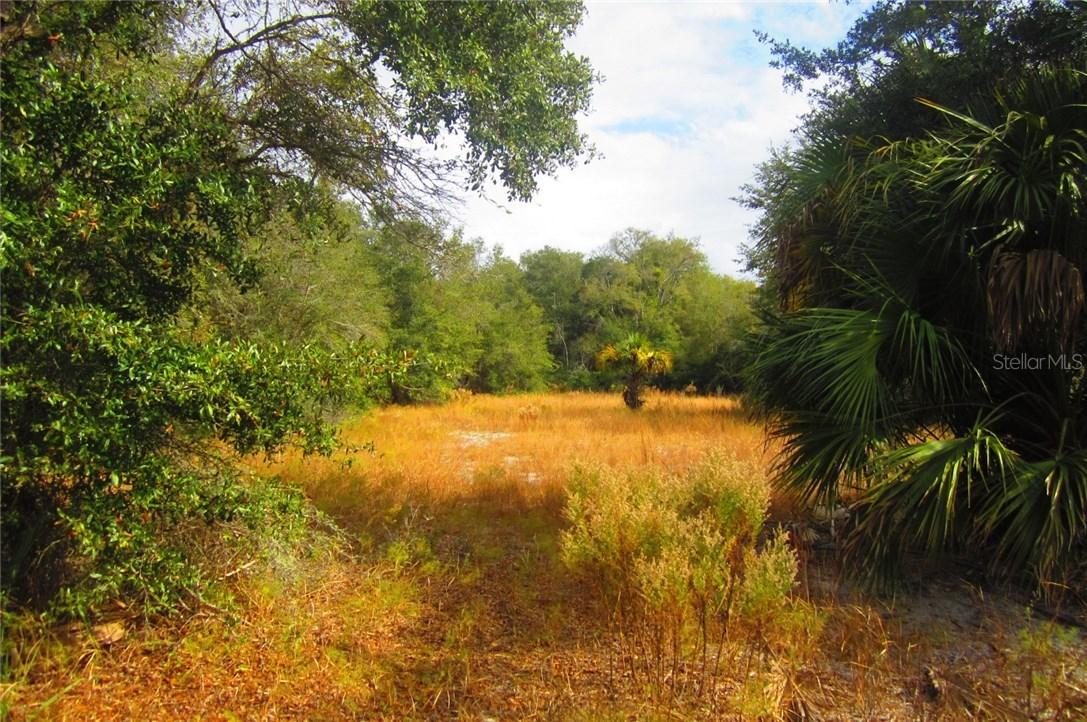 9877 N Cacalia Dr., Crystal River, FL 34428