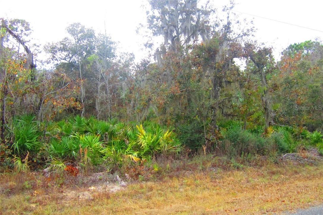 10278 W Belfast St., Crystal River, FL 34428