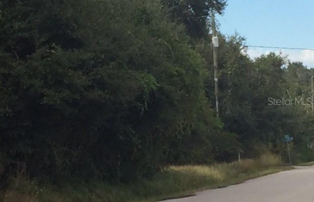 Joe King Rd., Plant City, FL 33567