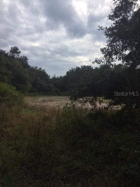 Joe King Rd., Plant City, FL 33567