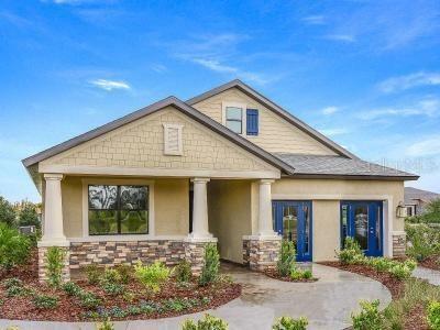19551 Post Island Loop, Land O Lakes, FL 34638