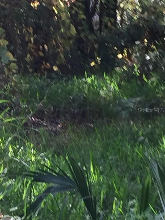 12515 Cambridge Ave., Tampa, FL 33624