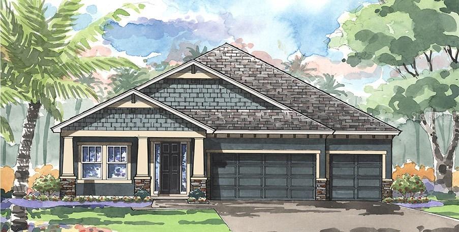 8104 Water Color Dr., Land O Lakes, FL 34638