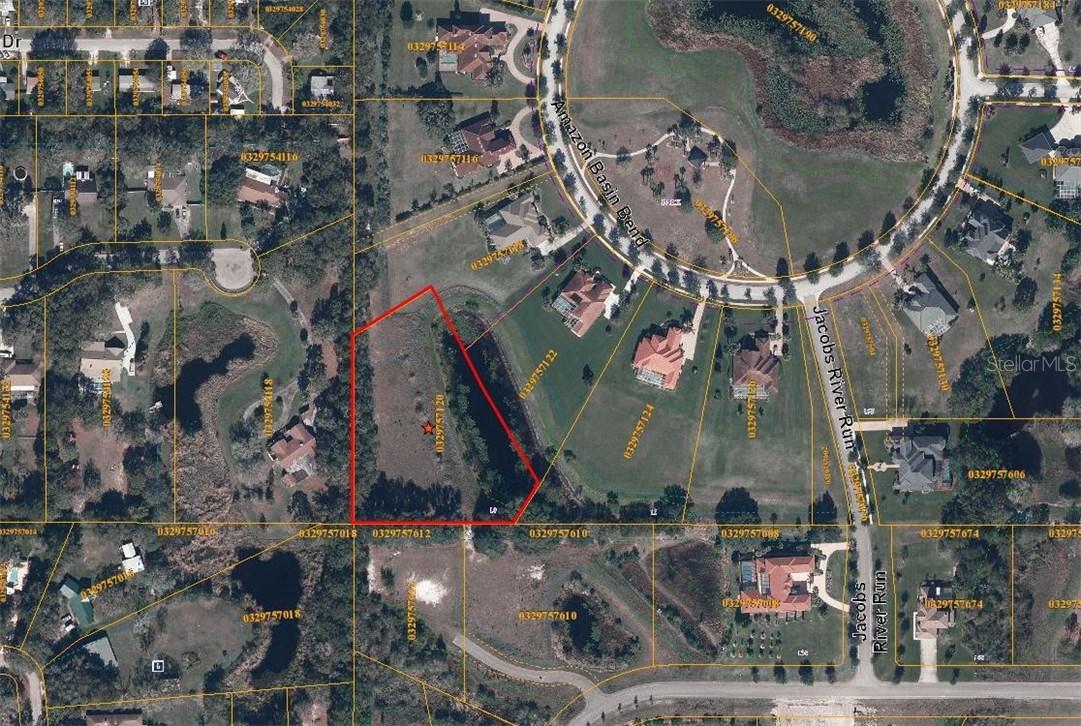 19620 Amazon Basin Bend, Lutz, FL 33559