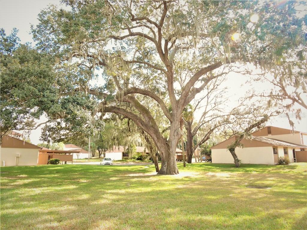 8608 Palm Ln. #115, Temple Terrace, FL 33637