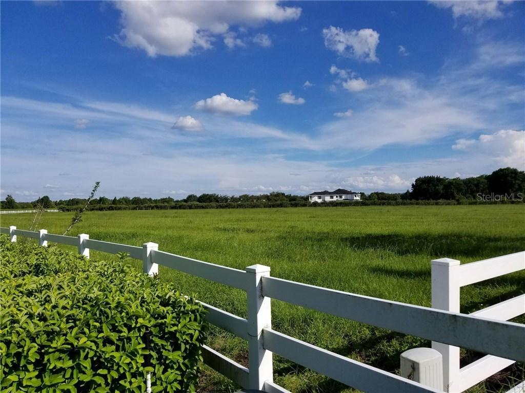 11401 Trotting Down Dr., Odessa, FL 33556