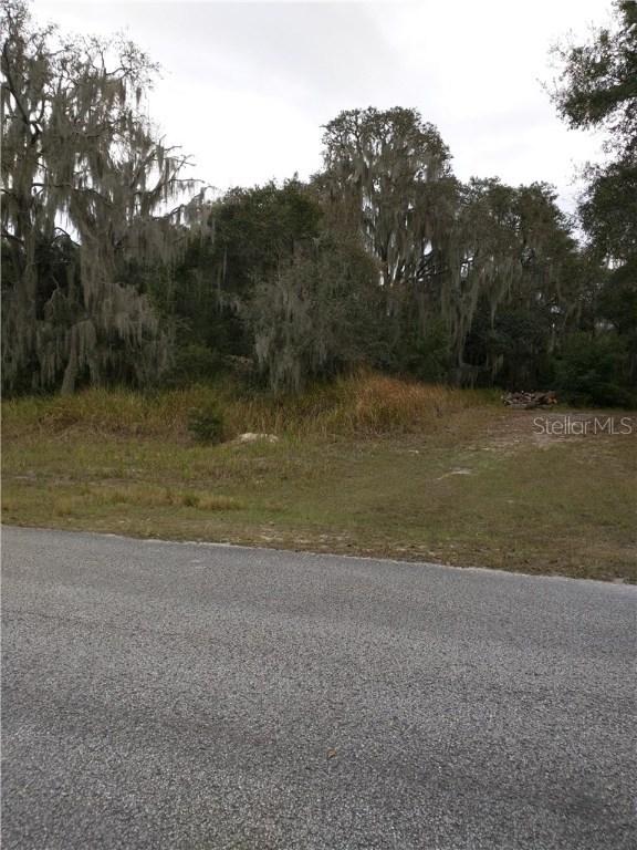 8418 Southwood Pines St., Lithia, FL 33547