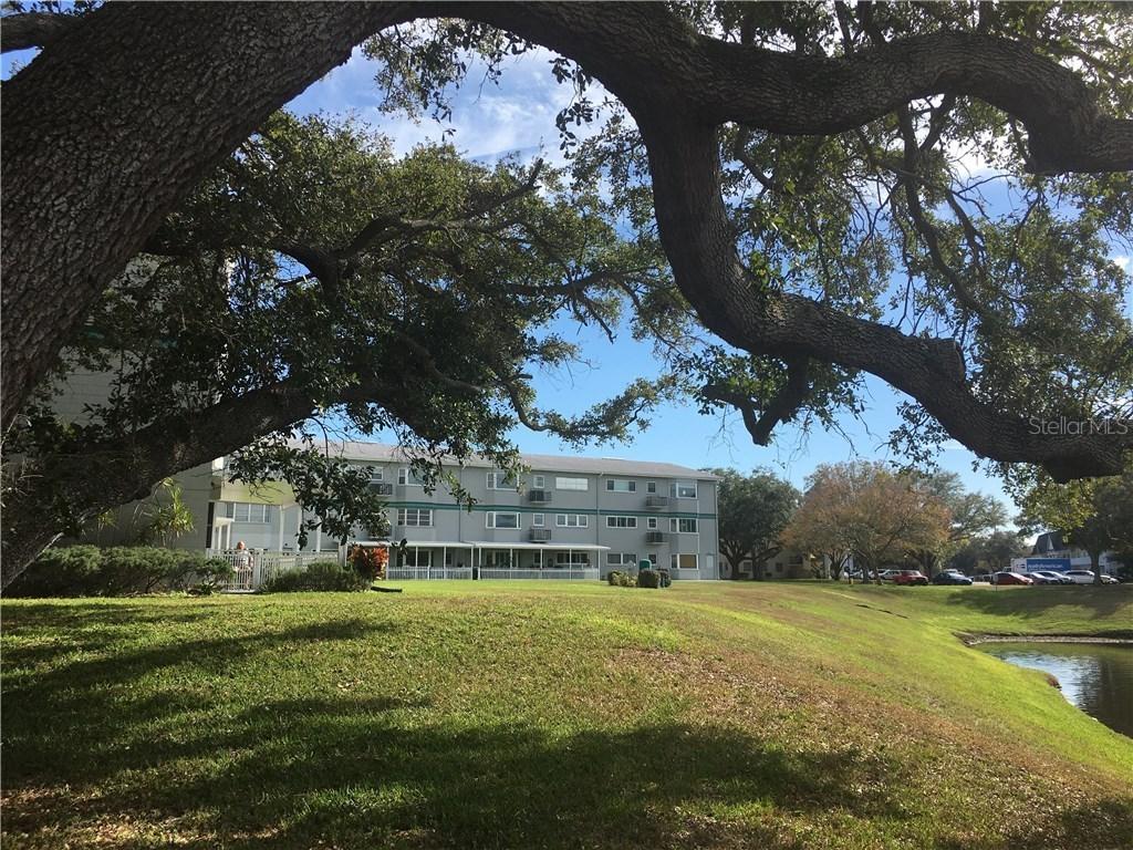 2228 Swedish Dr. #8, Clearwater, FL 33763