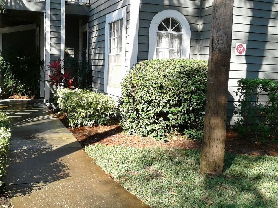 2197 Fox Chase Blvd. #101, Palm Harbor, FL 34683