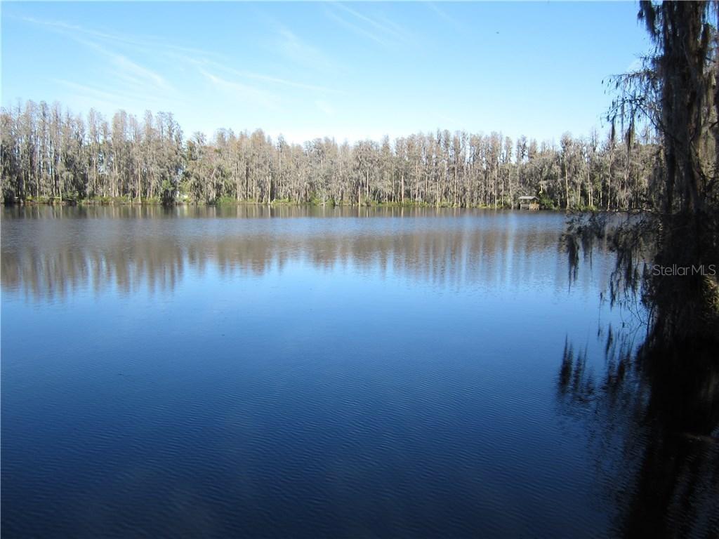 316 Newberger Rd., Lutz, FL 33549