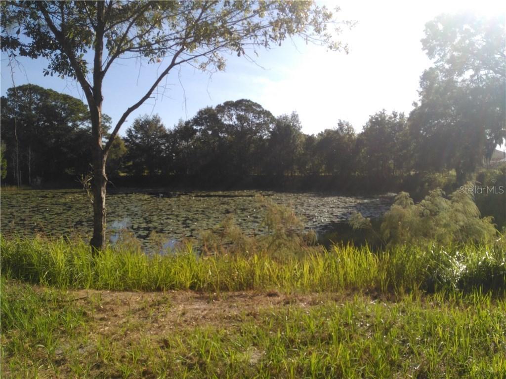 Green Meadow Dr., Lutz, FL 33549