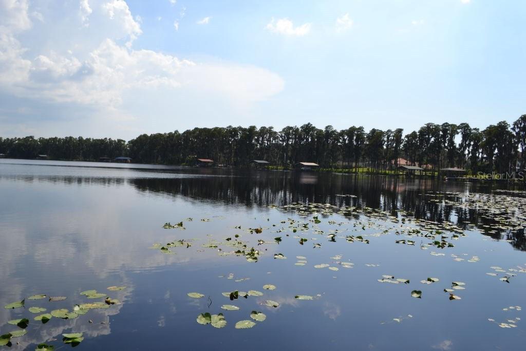 63xx Fitzgerald Rd., Odessa, FL 33556