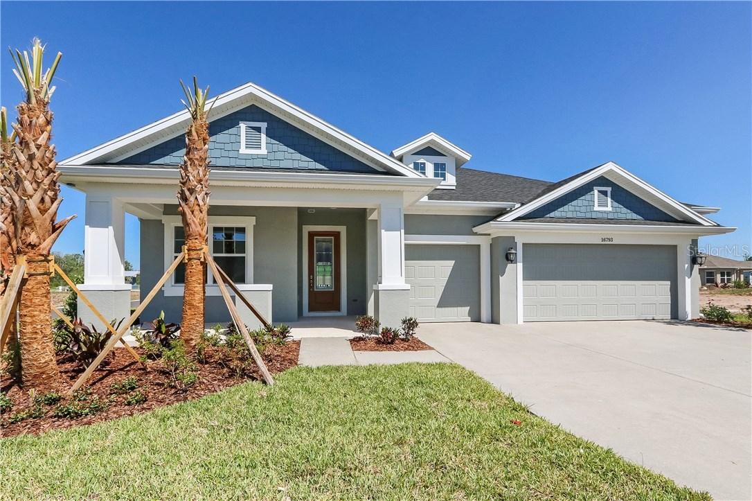 16793 Courtyard Loop, Land O Lakes, FL 34638