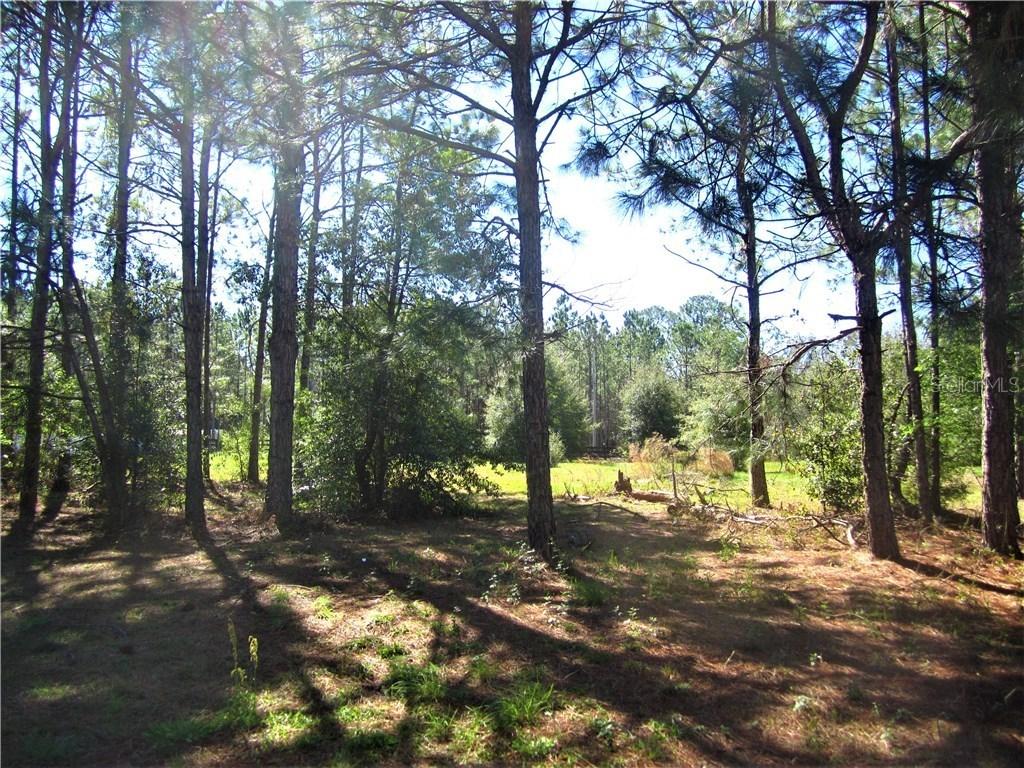 2417 Montana Pines Ct., Lutz, FL 33549