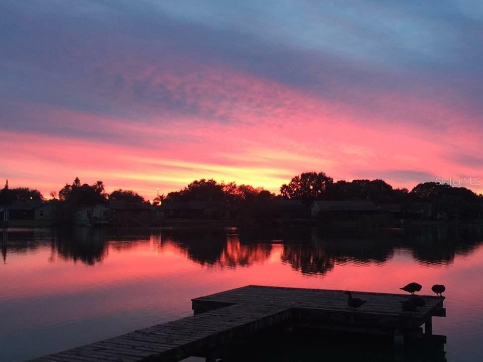 6708 Ranger Dr., Tampa, FL 33615