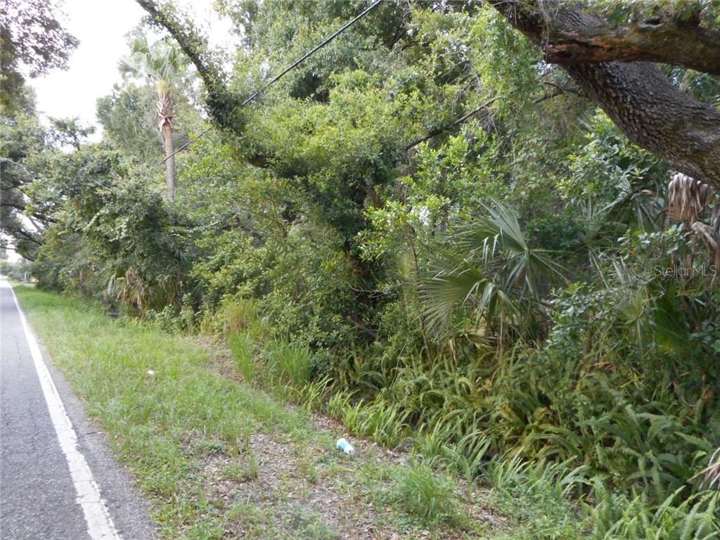 Williams Rd., Brandon, FL 33510