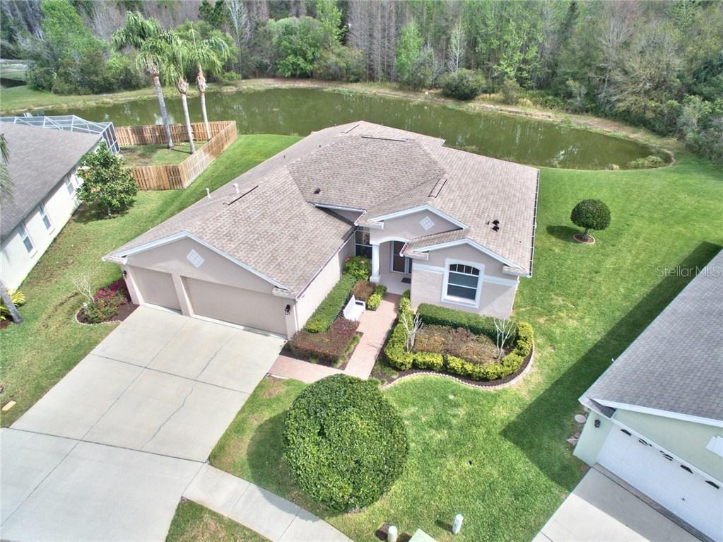 29407 Allegro Dr., Wesley Chapel, FL 33543