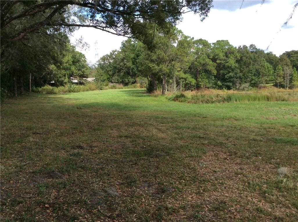 Green Meadow Dr., Lutz, FL 33549