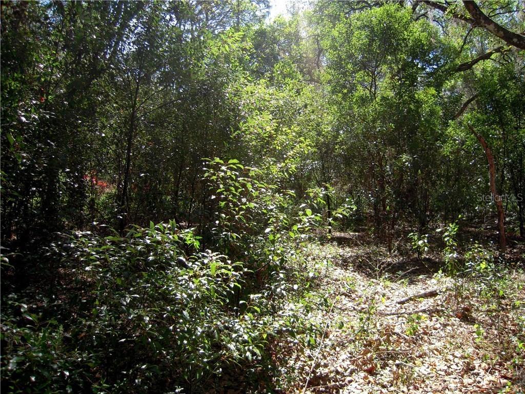 Walker Dr., Wesley Chapel, FL 33544