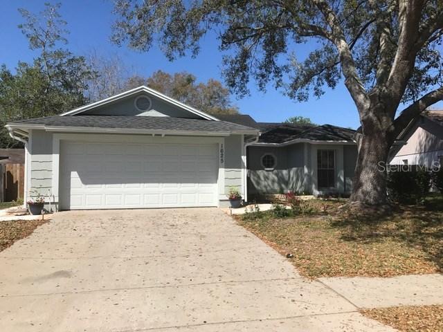 1625 Gunsmith Dr., Lutz, FL 33559