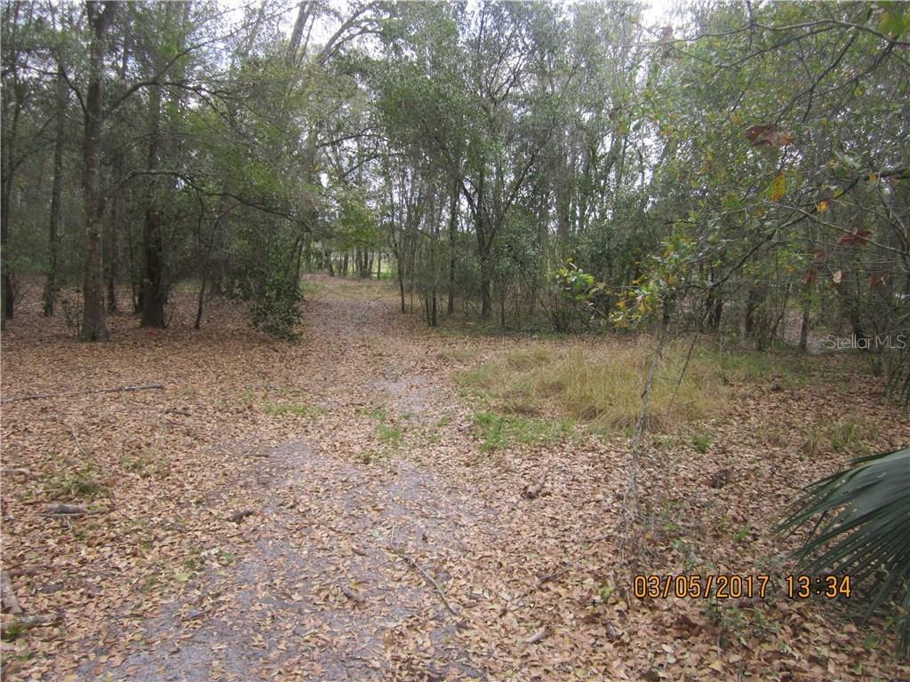 Bahia Loop, Land O Lakes, FL 34369