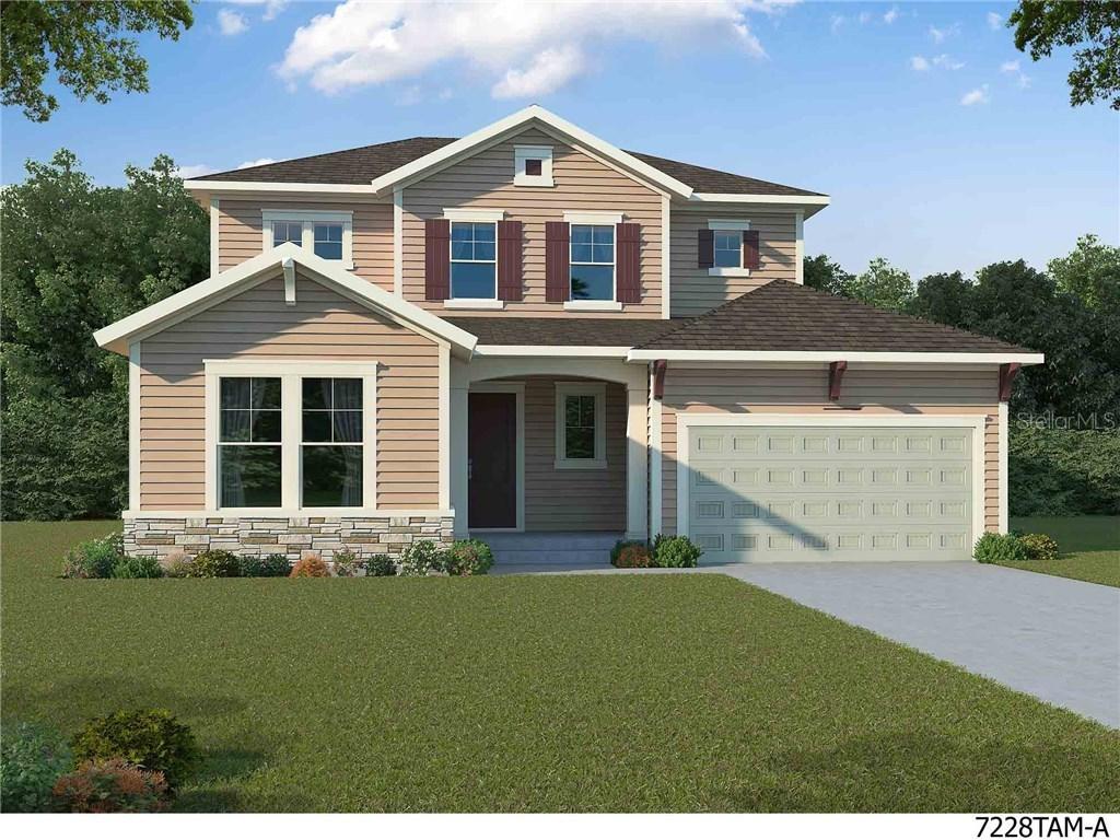 2515 Portico St., Odessa, FL 33556