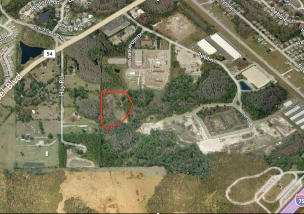 Scarborough Dr., Lutz, FL 33559