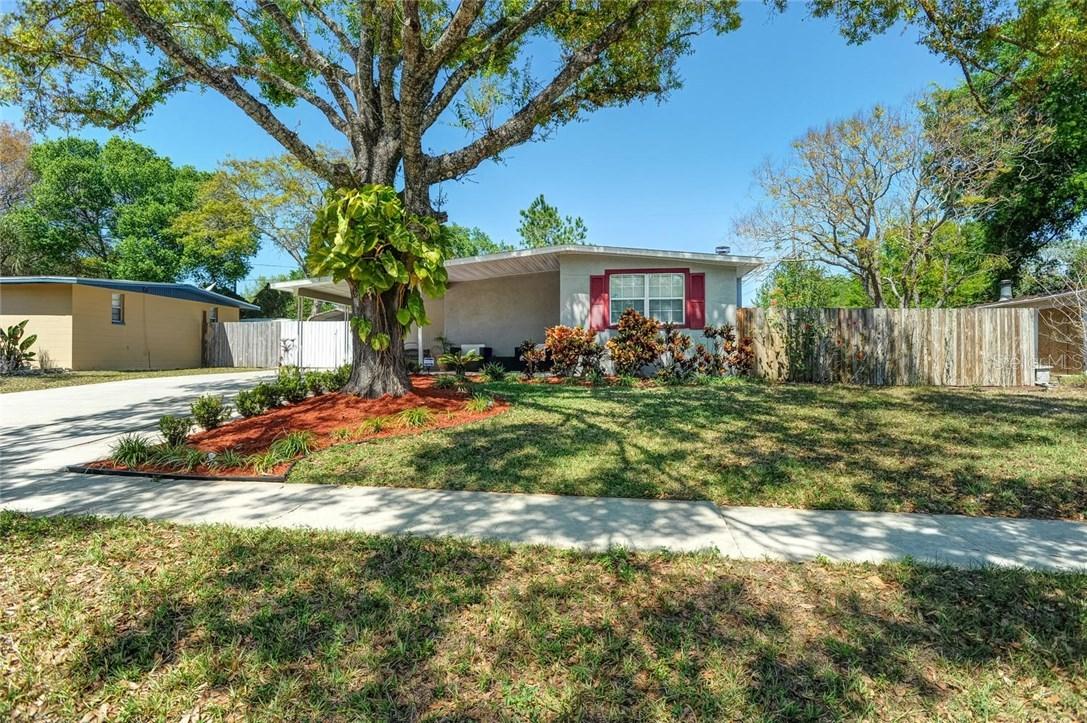 1111 Dogwood Ave., Tampa, FL 33613