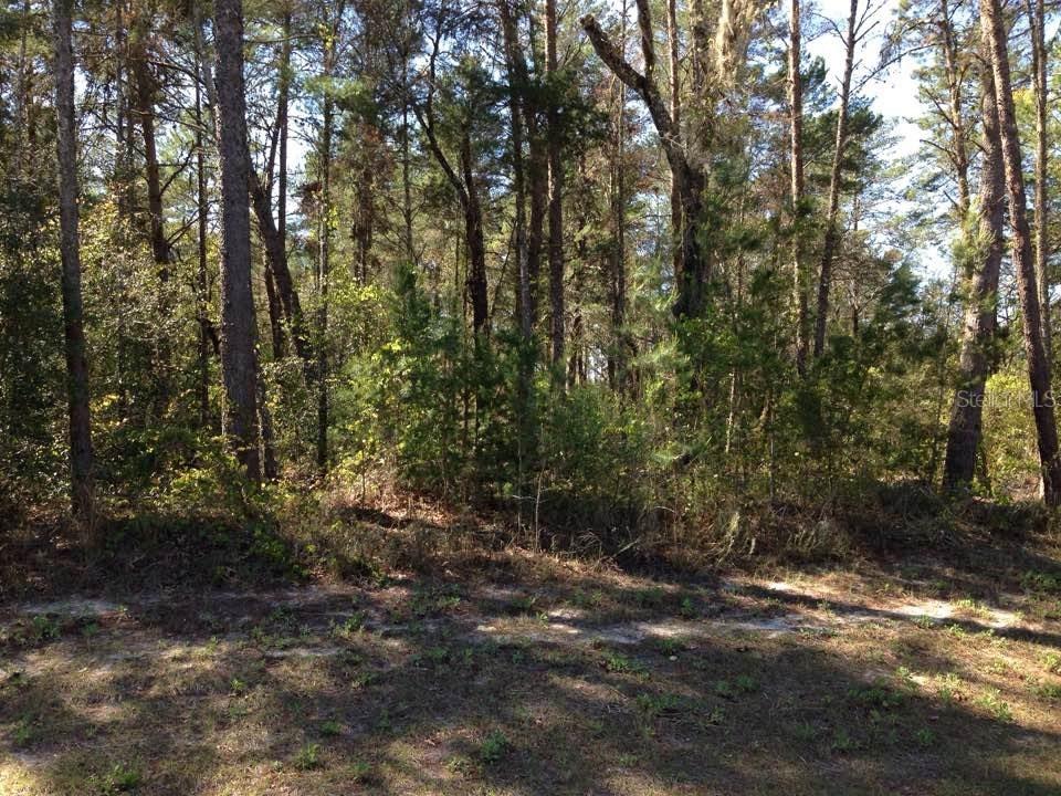 13638 Gopher Pond Ct., Hudson, FL 34669