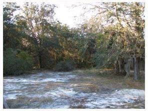 Murcott Way, Land O Lakes, FL 34638