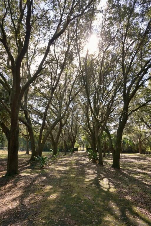 5700 Kelly Rd., Plant City, FL 33565
