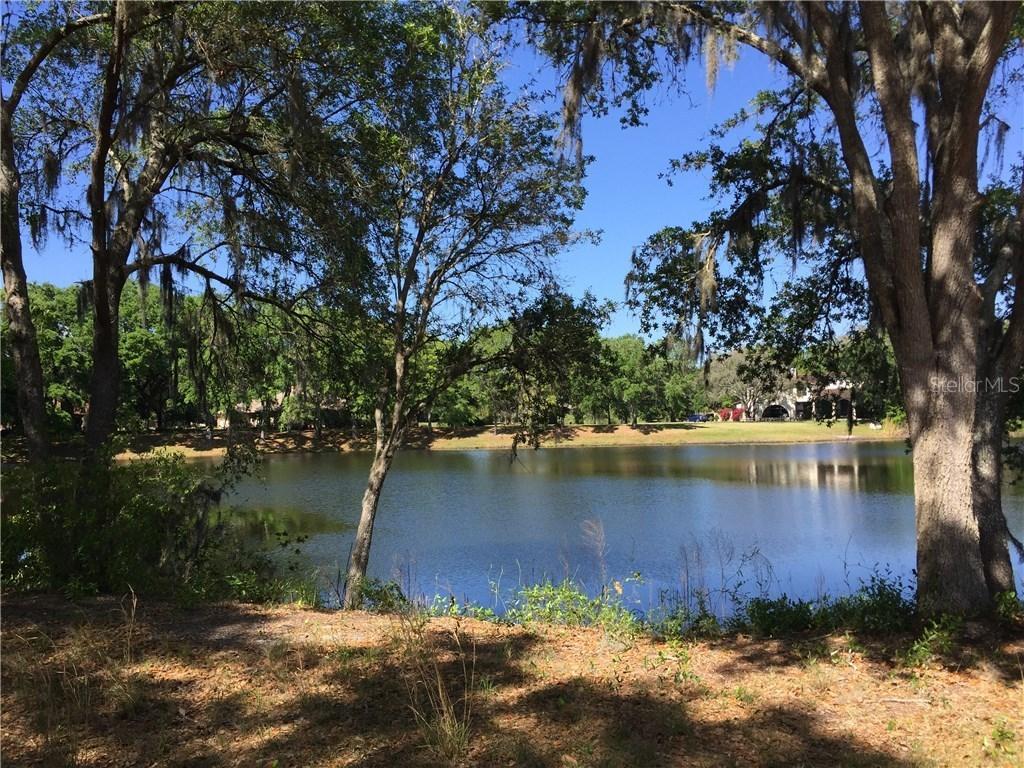 16335 Emerald Cove Dr., Lutz, FL 33549