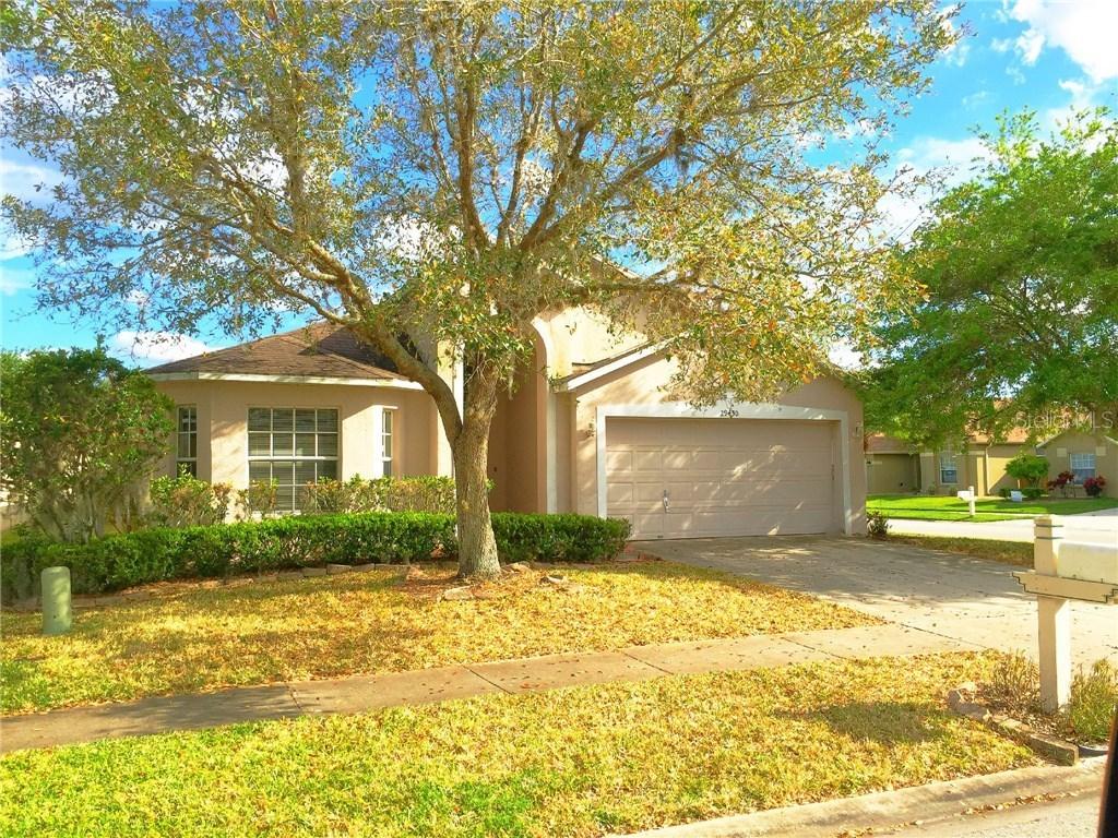 29430 Tansy Pass, Wesley Chapel, FL 33543