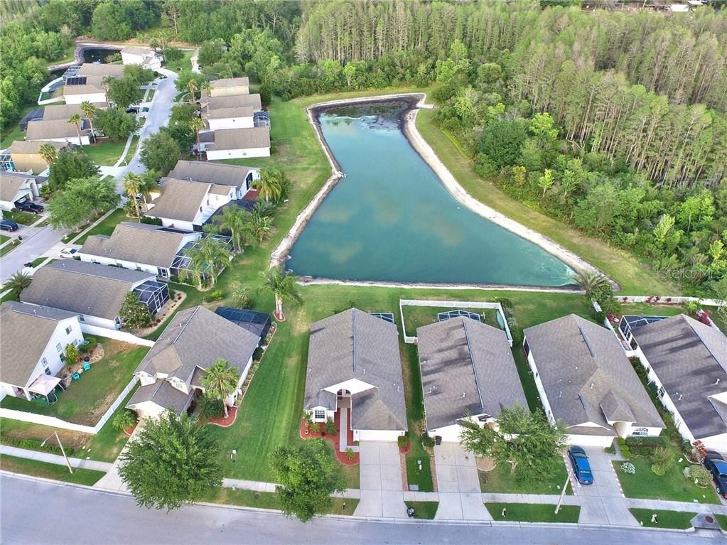 4212 Marchmont, Land O Lakes, FL 34638