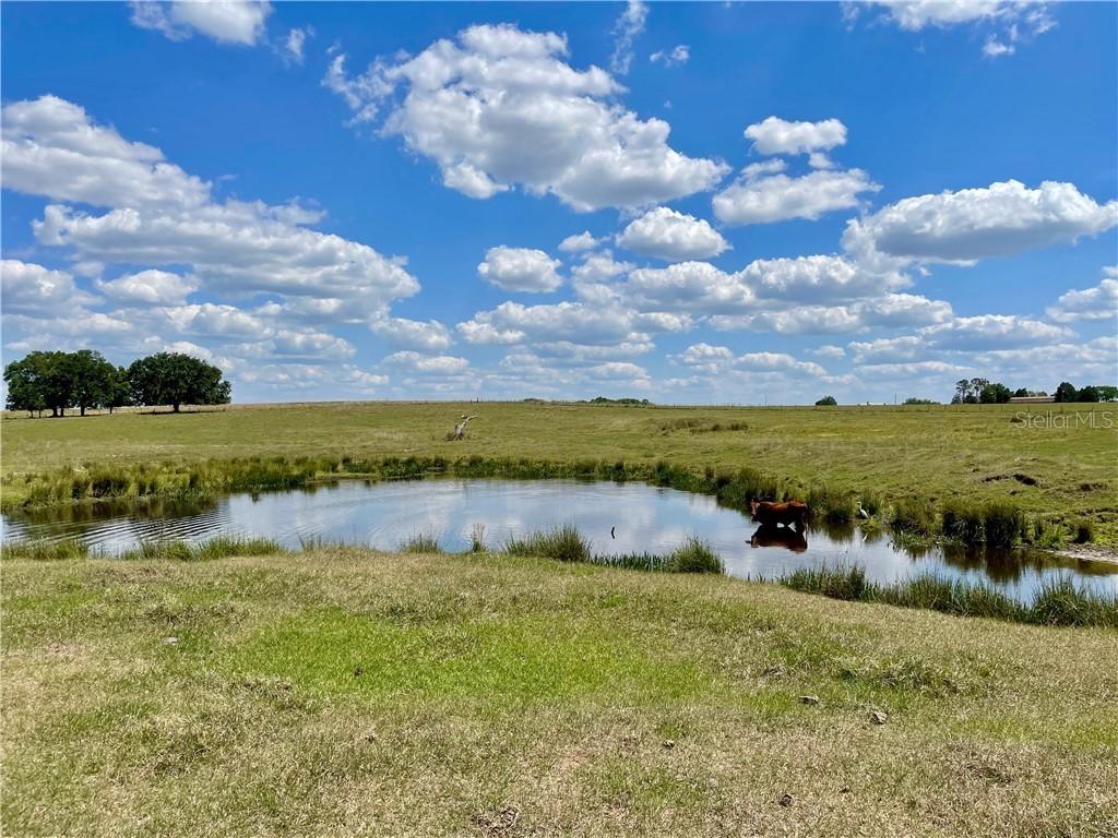 31245 Darby Rd., Dade City, FL 33525