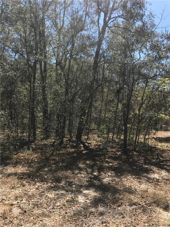 97974 Coleman Ln., Brooksville, FL 34602
