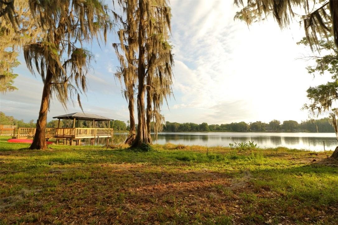 3635 Little Rd., Lutz, FL 33548