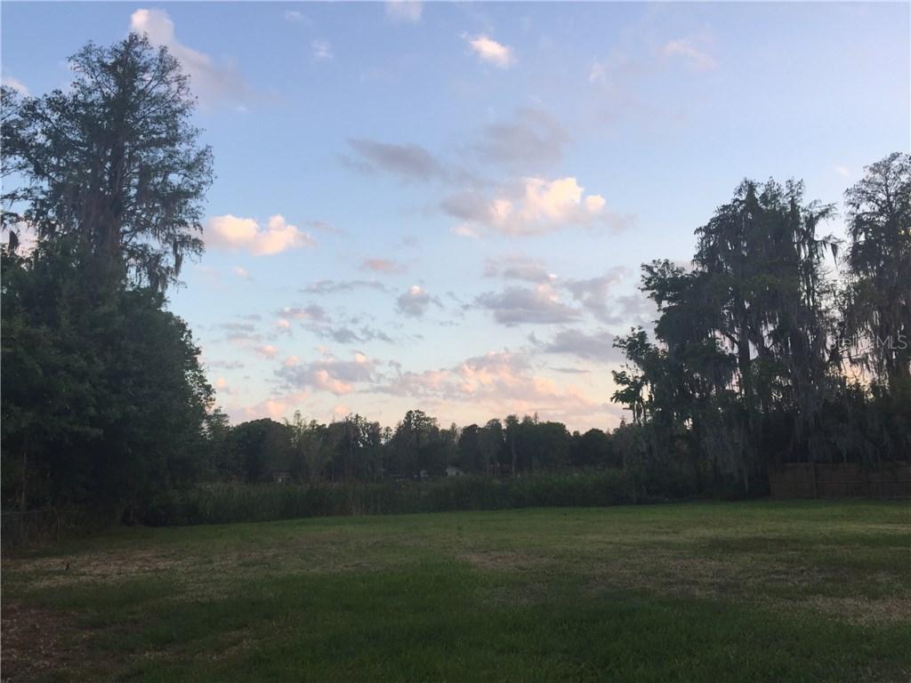 Lake Sharon Dr., Land O' Lakes, FL 34639
