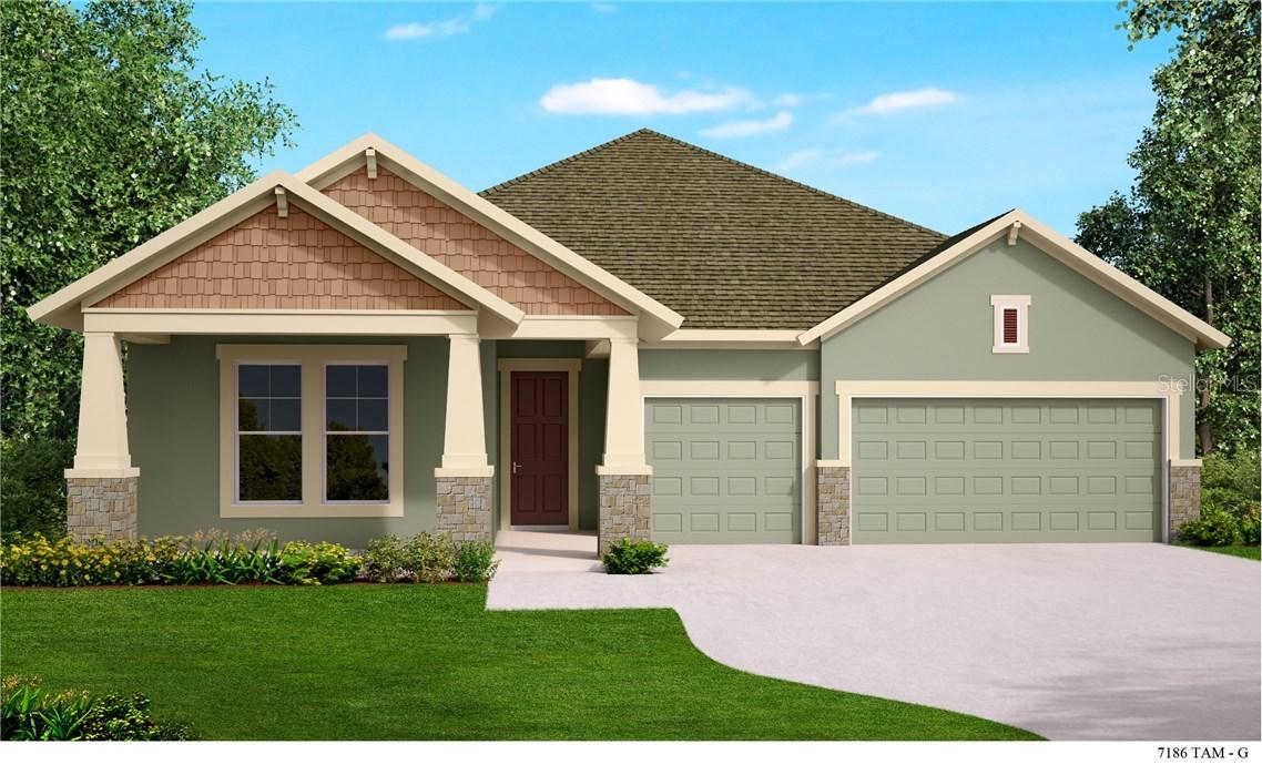 2593 Eve Ct., Odessa, FL 33556