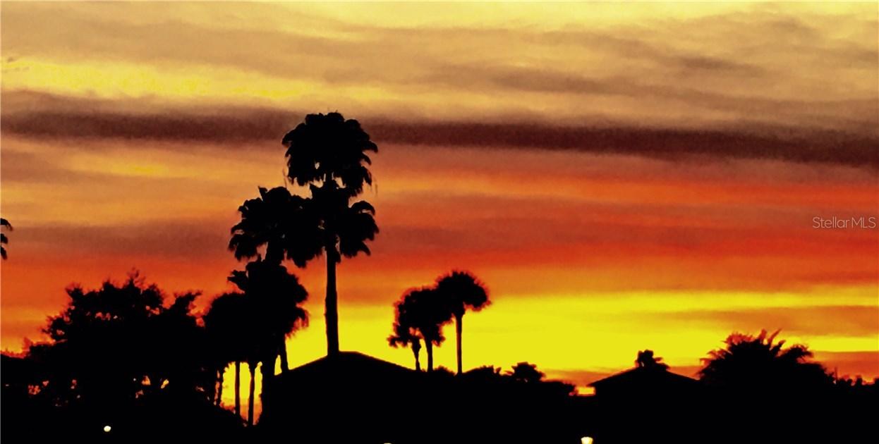 1004 Stella Vara Dr., Lutz, FL 33548