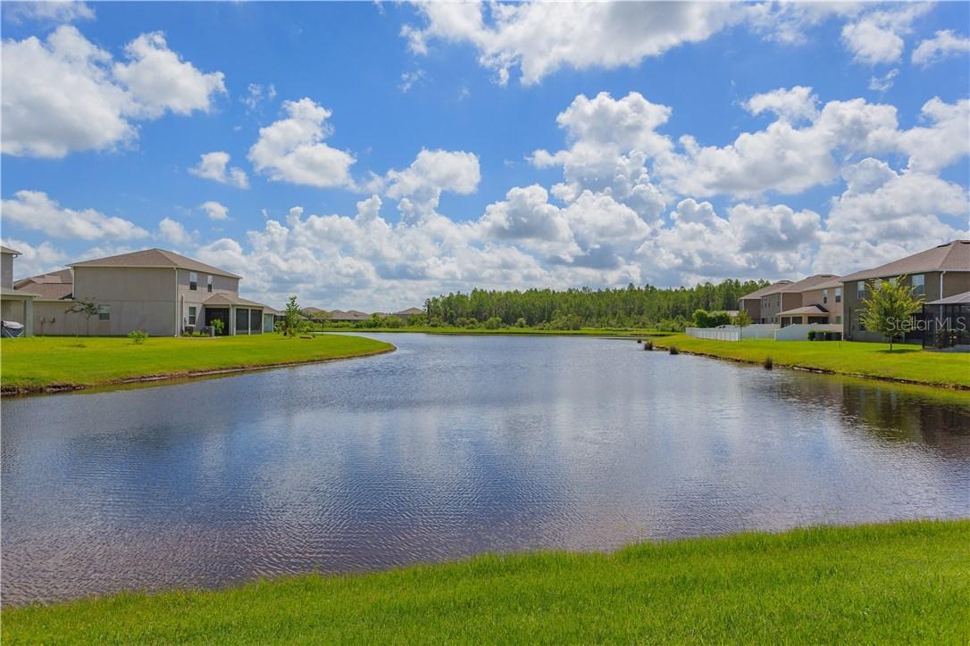 3684 Seven Seas Ave., Land O Lakes, FL 34638