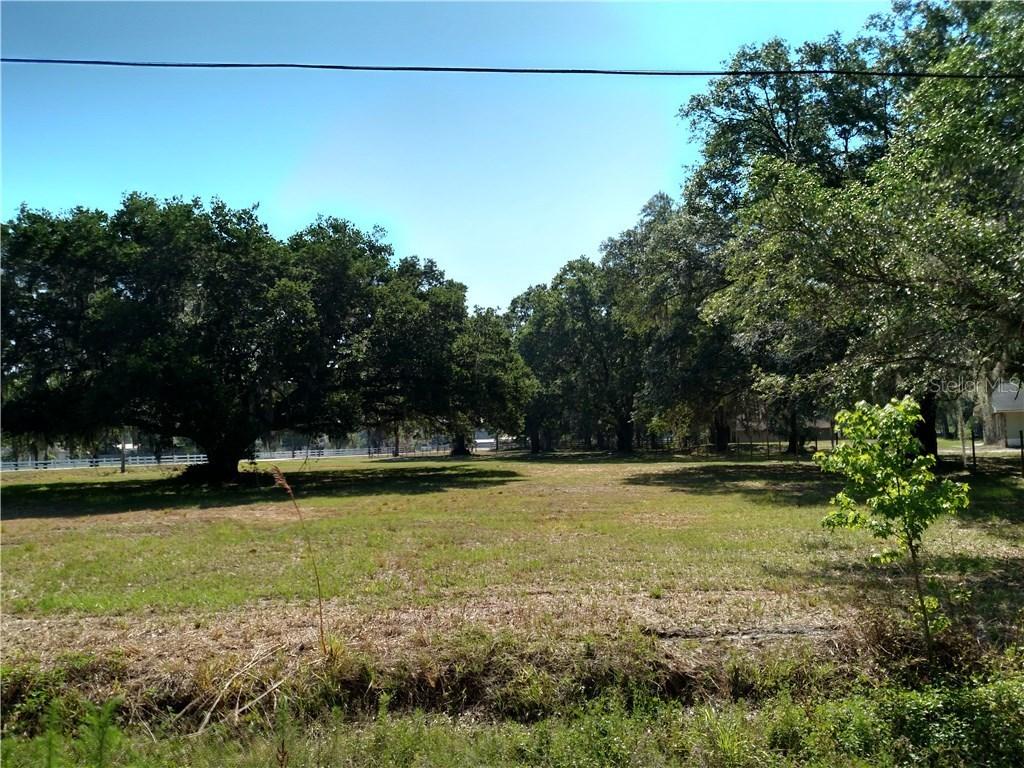 2624 Hawk Griffin Road, Plant City, FL 33565