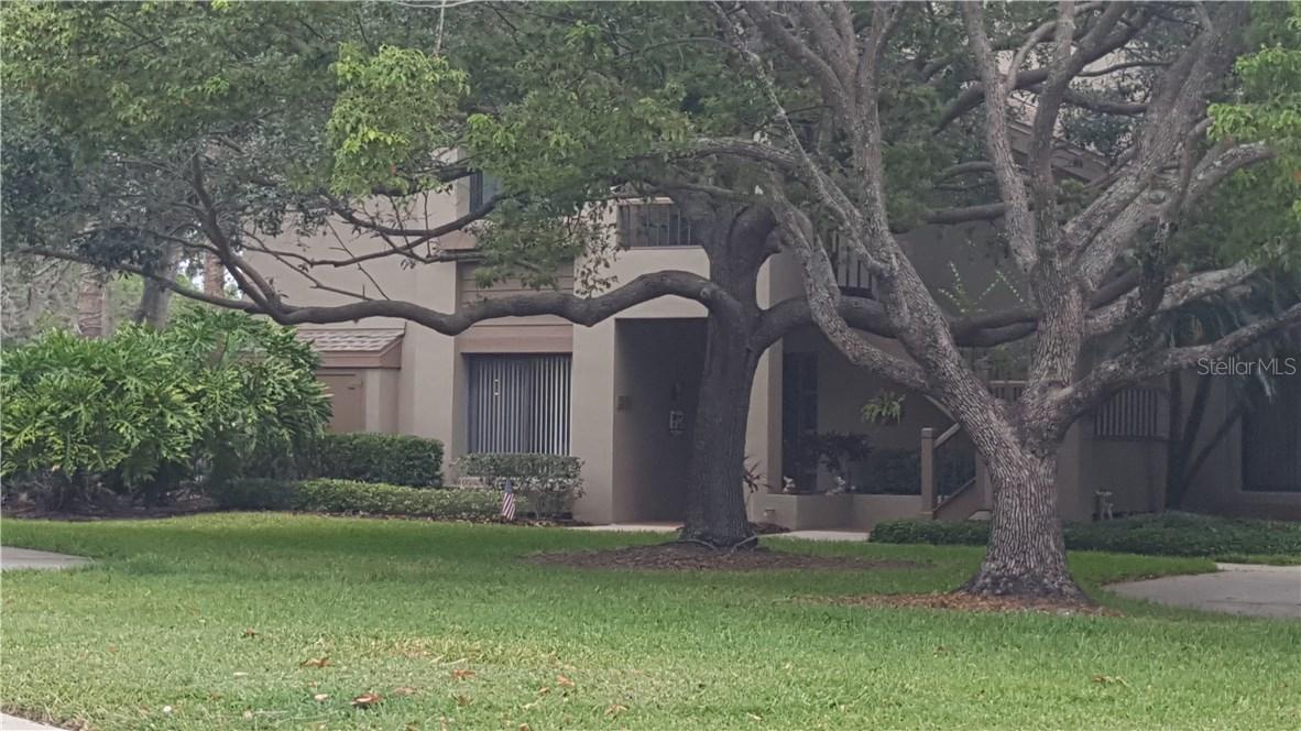 3095 Landmark Blvd. #2001, Palm Harbor, FL 34684