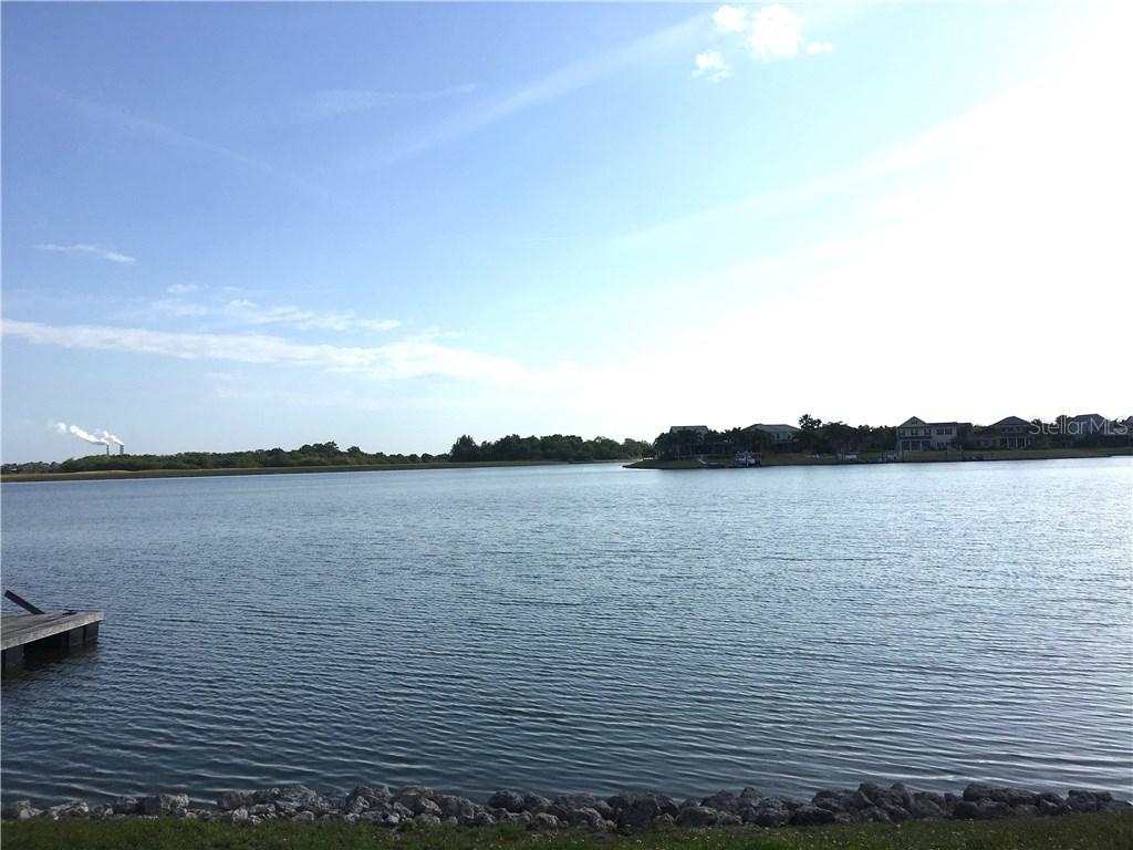 5233 Brighton Shore Dr., Apollo Beach, FL 33572