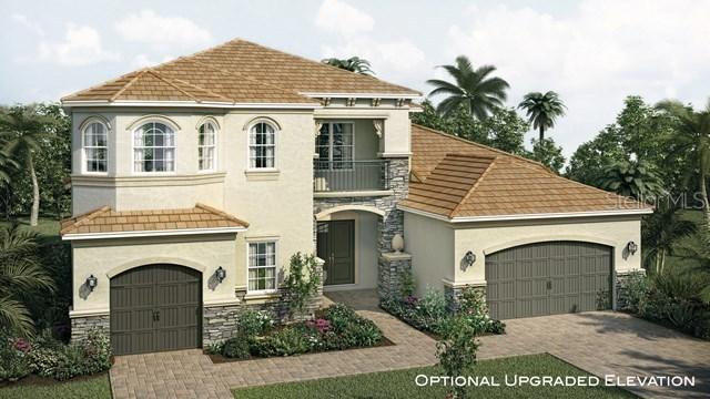 2544 Coco Palm Cir., Wesley Chapel, FL 33543