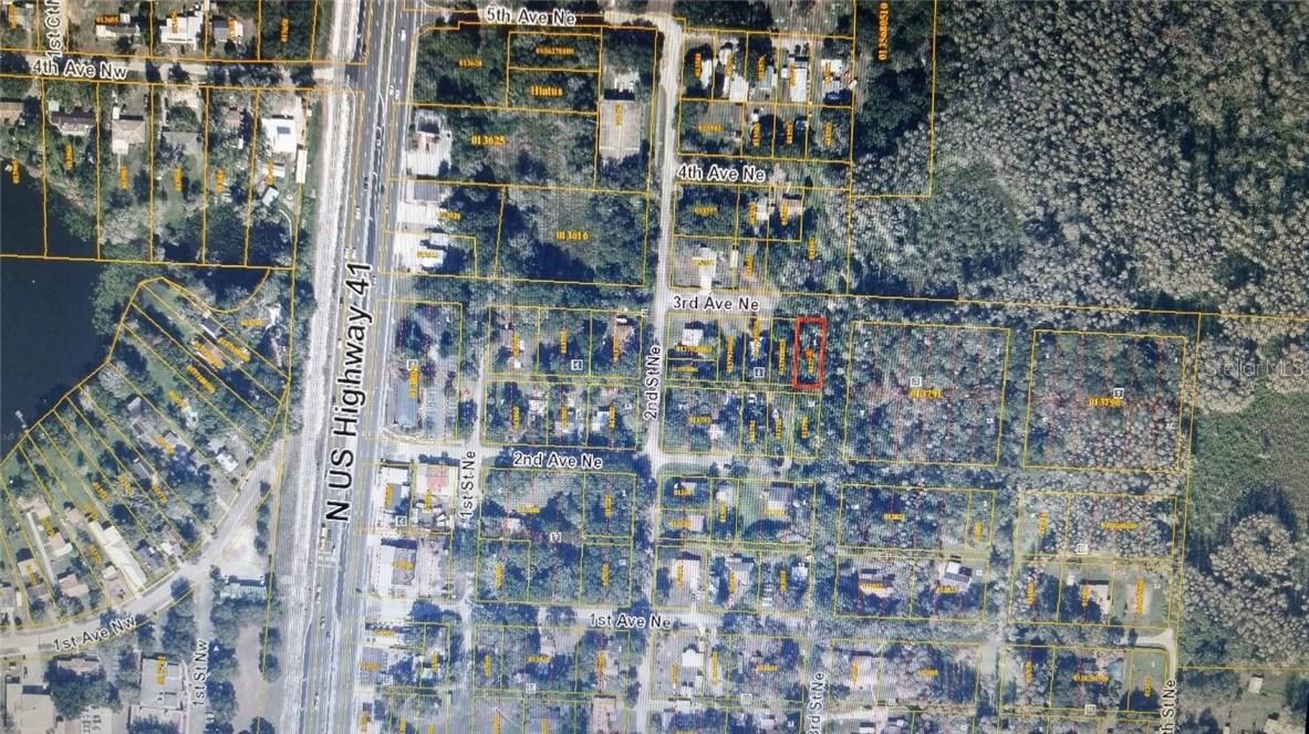 207 3rd Ave., Lutz, FL 33549