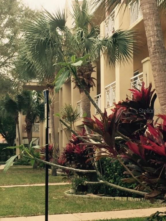 2231 Utopian Dr. #315, Clearwater, FL 33763