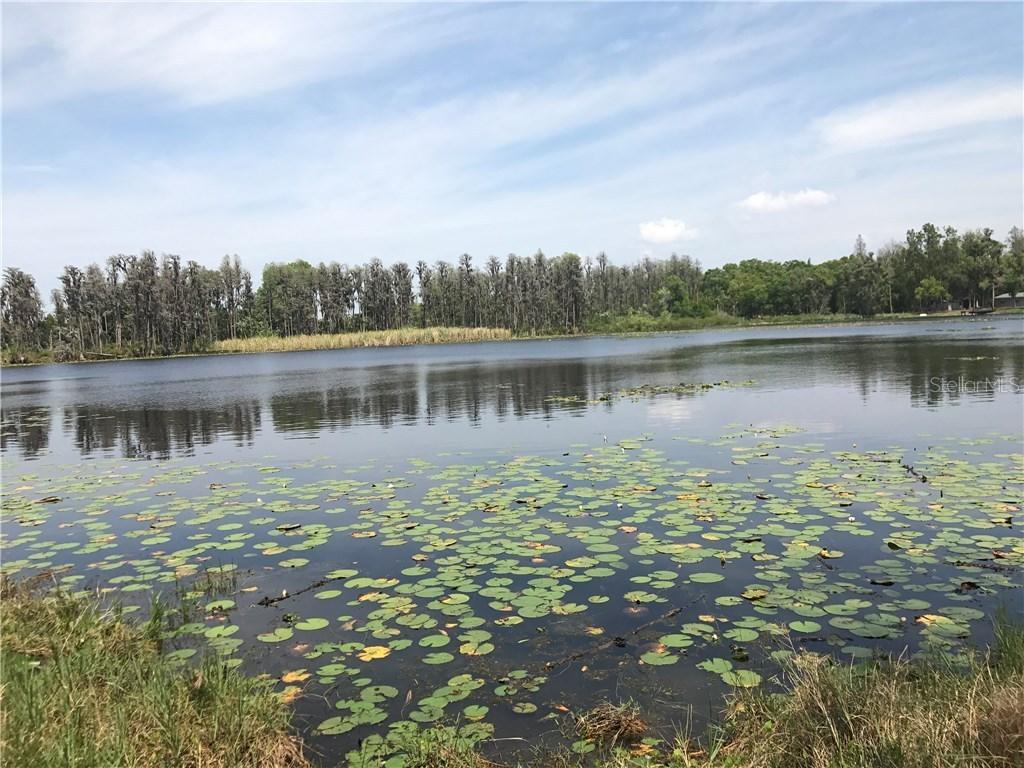 1109 Van Dyke Rd., Lutz, FL 33548