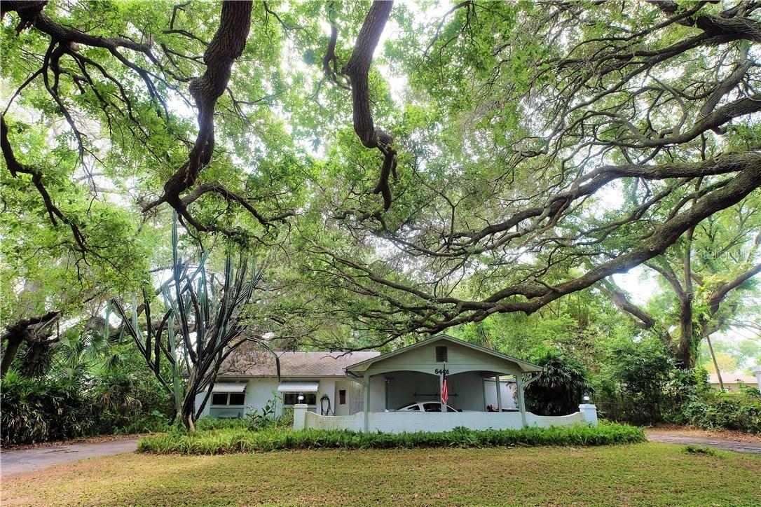 6401 N Habana Ave., Tampa, FL 33614